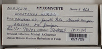 Image Associated With the Occurence